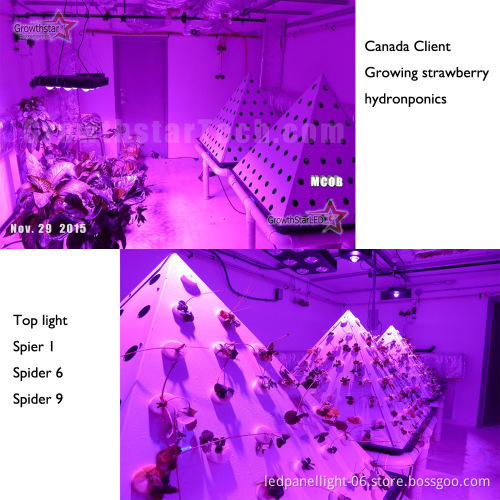 Factory 2016 3 years warranty 810 watt COB led grow light